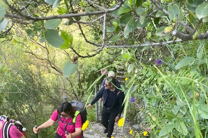 Cinque Terre by train and boat (no ferries in winter) - Veronica’s guiding style and group size