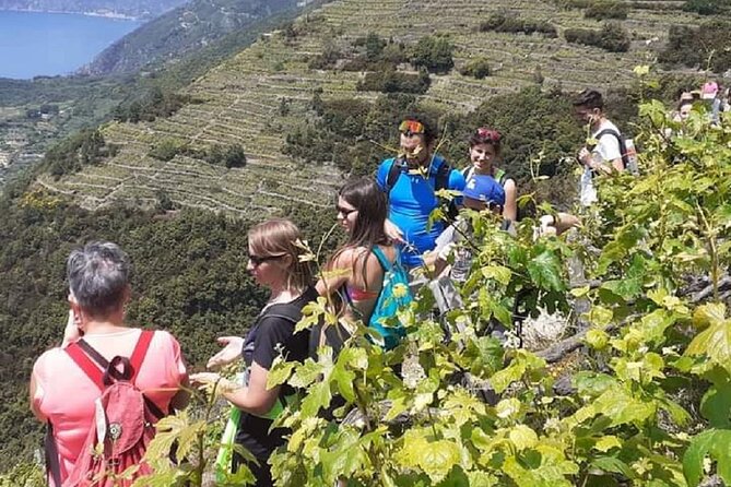 Cinque Terre by train and boat (no ferries in winter) - Walking, stairs, and physical comfort
