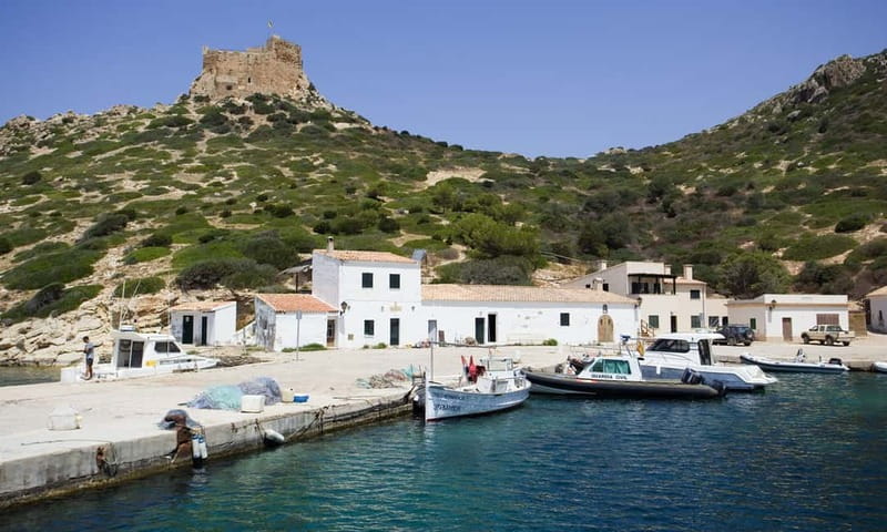 Colonia Sant Jordi: Premium & Fast Boat Tour around Cabrera - Beaches, botanic plants, and the Ensiola Lighthouse walk