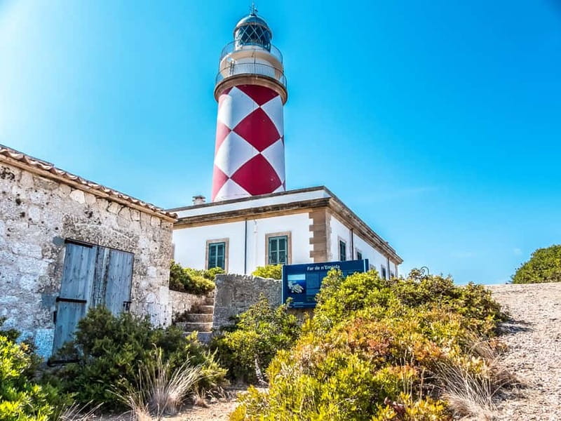Colonia Sant Jordi: Premium & Fast Boat Tour around Cabrera - Who should choose the premium or express tour?