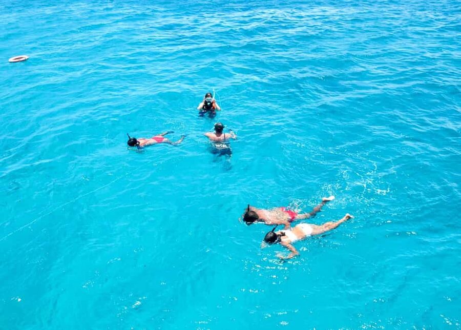 Corralejo: Snorkeling on Lobos Island & Return Ferry Ticket - What the crew adds to the experience