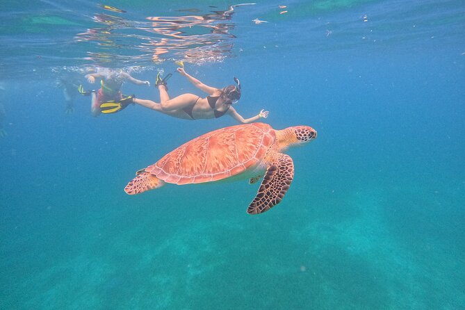 Culebra Swim with Turtles Adventure and Flamenco Beach by Ferry - Two Culebra beaches, one very long day