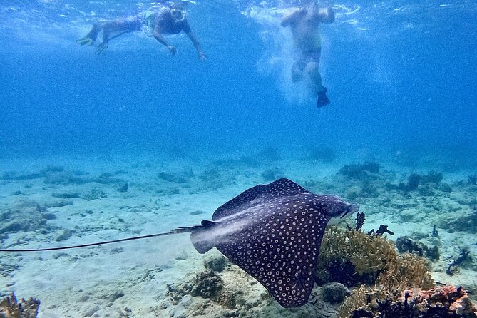 Culebra Swim with Turtles Adventure and Flamenco Beach by Ferry - Flamenco Beach for the afternoon