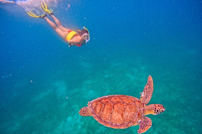 Culebra Swim with Turtles Adventure and Flamenco Beach by Ferry - Returning from Culebra to Ceiba
