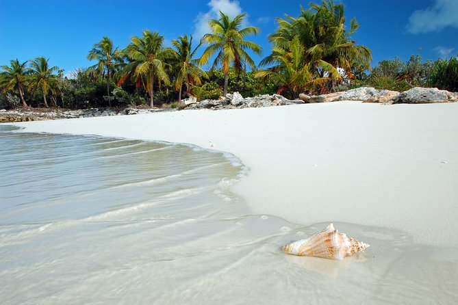Day Trip to Bimini, Bahamas - Ferry Tickets - Who will enjoy this day trip