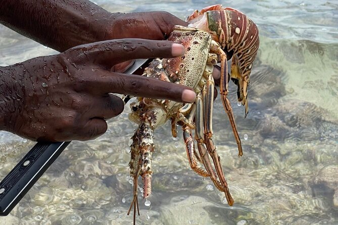 Day Trip to Negril from Montego Bay/Boat Ride to Booby Cay Island/Lobster Lunch - Walking Seven Mile Beach at your own pace