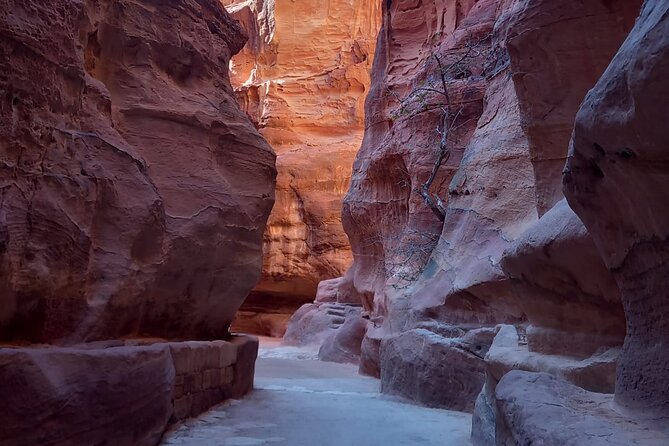 Day trip to Petra by ferry from Sharm el Sheikh - The midnight pickup from Sharm El Sheikh
