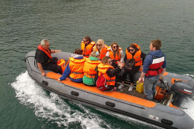 Dingle to Blasket Island Ferry - Watching for dolphins at Dingle Harbour