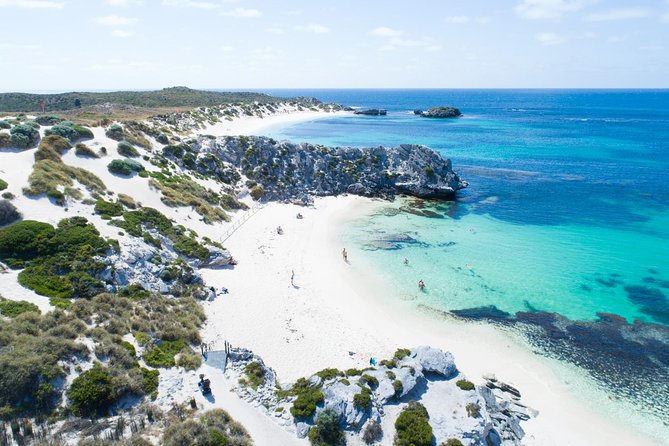 Discover Rottnest with Ferry & Bus Tour - Why Rottnest works well as a one-day escape