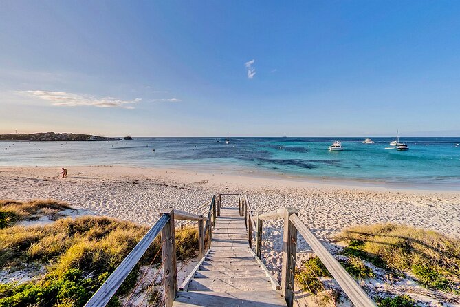 Discover Rottnest with Ferry & Bus Tour - Is the $102.92 price good value?