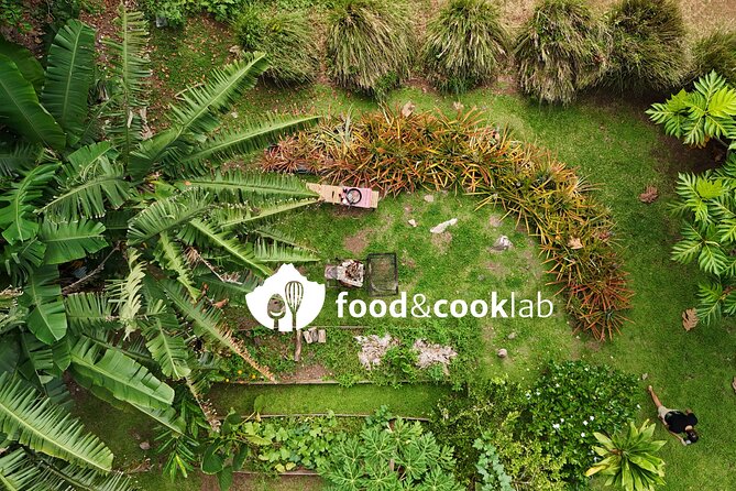Discovering Moorea from Tahiti in 4x4 with the Ferry Terevau - The pineapple fields show Moorea’s working side