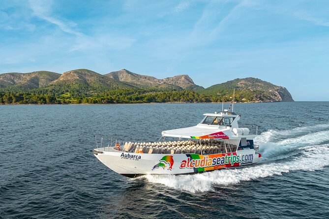 Dolphin Adventure: Fast Boat Dolphin Watching in Mallorca - Setting out from Port d’Alcudia