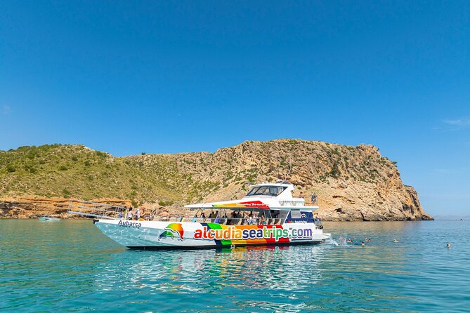 Dolphin Adventure: Fast Boat Dolphin Watching in Mallorca - Should you book the Dolphin Adventure?