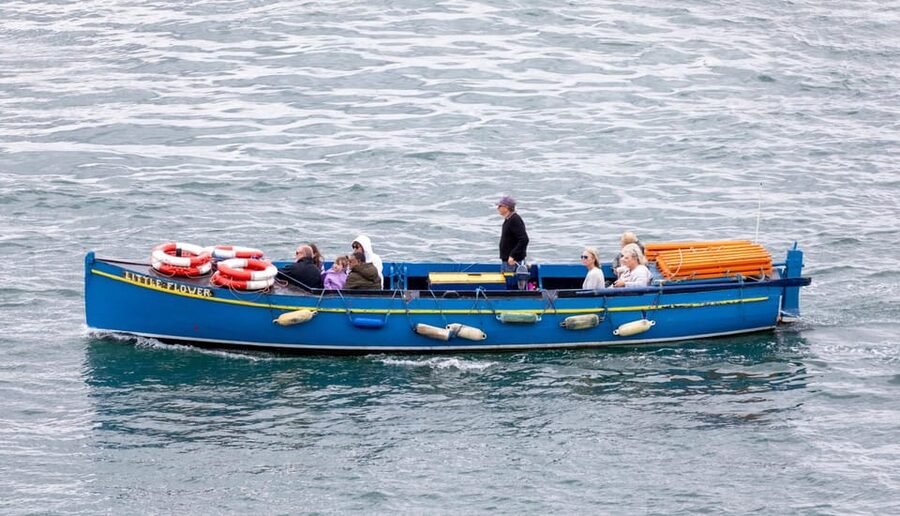 Dublin: Ferry from Howth to Ireland's Eye island - Who will enjoy this trip most