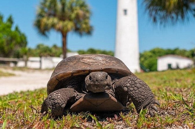 Egmont Key Ferry from Ft. DeSoto Park - What to Pack for a Facility-Free Island