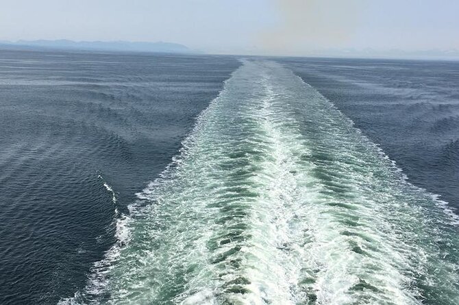 Explore Olympic National Park from Seattle through Van /Ferry - Food, water, and what to pack