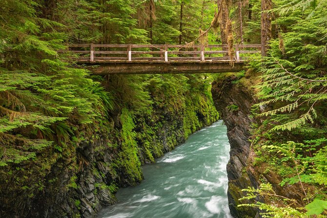 Explore Olympic National Park from Seattle through Van /Ferry - Is $335 a fair price?