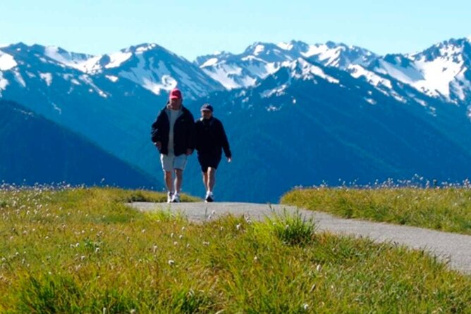 Explore Olympic National Park from Seattle through Van /Ferry - Hurricane Ridge: big views, small weather window