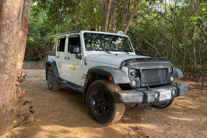 Fajardo Ceiba Ferry Marina Taxi to San Juan Taxi Transportation - Key Points About This Fajardo to San Juan Transfer