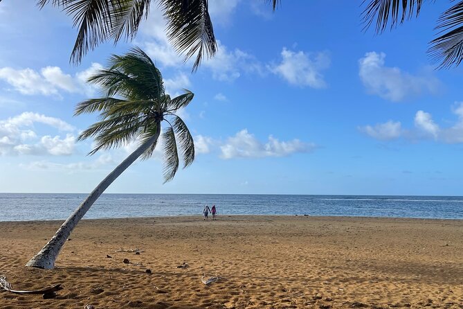 Fajardo Ceiba Ferry Marina Taxi to San Juan Taxi Transportation - Is the $100 Group Price a Good Value?