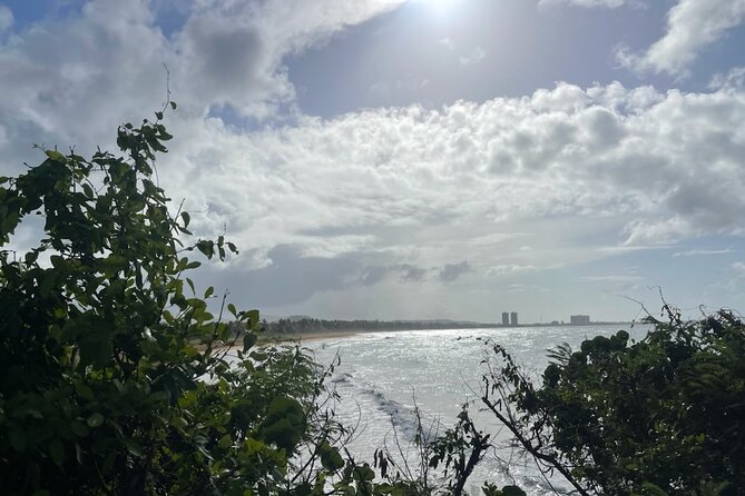 Fajardo Ceiba Ferry Marina Taxi to San Juan Taxi Transportation - Choosing Between the Direct and Scenic Route