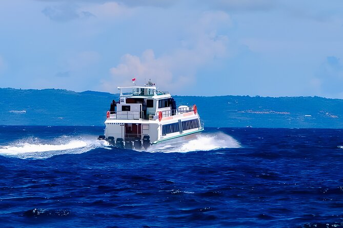 Fast Boat Transfer Bali to Gili & Lombok + Private Hotel Pick-up - My practical booking advice