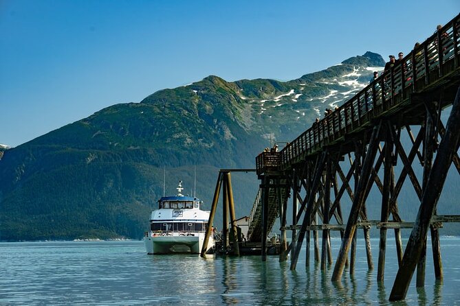 Fast Ferry - Haines Departure - Wildlife Watching From the Inner and Outer Decks