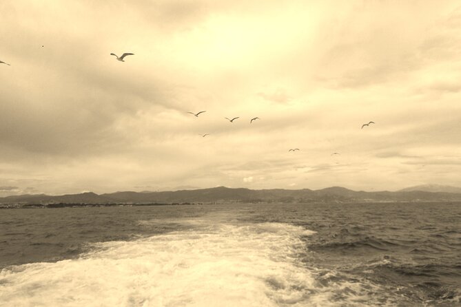 Ferry Benalmádena <> Fuengirola - Choosing between the street market and Miramar