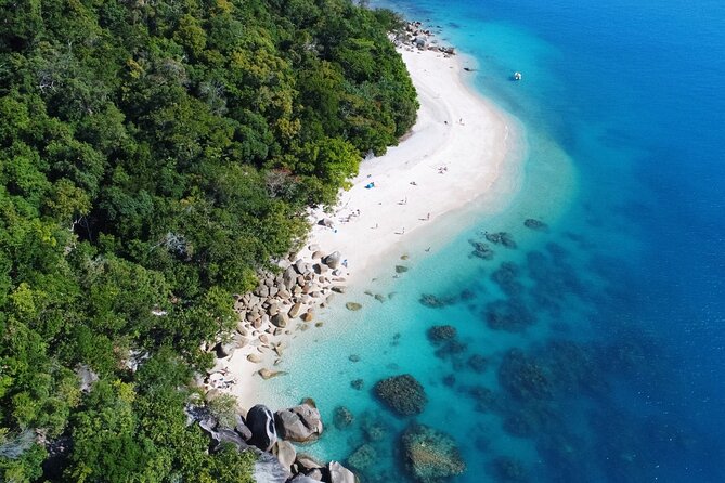 Fitzroy Island Day Trip 11am to 5pm Ferry INC Snorkel Equipment - A reef day that begins with a short ferry ride