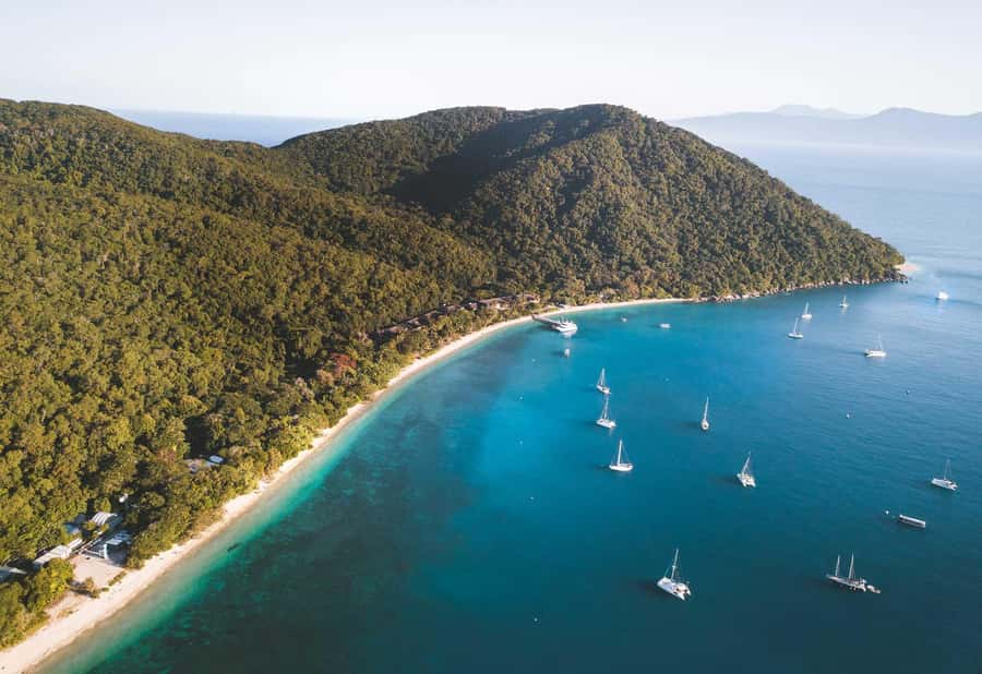 Fitzroy Island: Full-Day Ferry & Snorkel Safari Guided Tour - Your first hour on Fitzroy Island