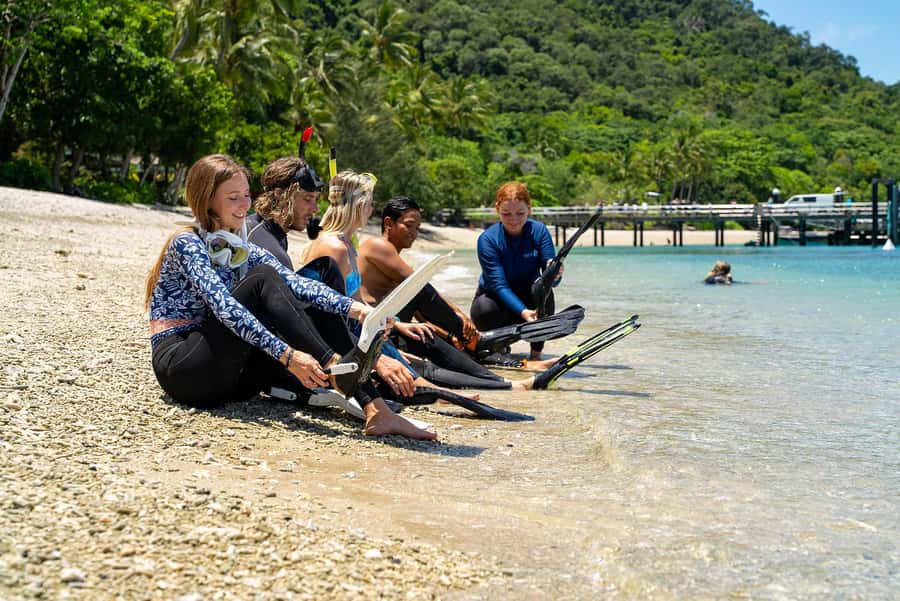Fitzroy Island: Full-Day Ferry & Snorkel Safari Guided Tour - What the practical details tell you