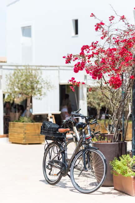 Formentera: discover our fast ferry + bike package - Key points to know before you book