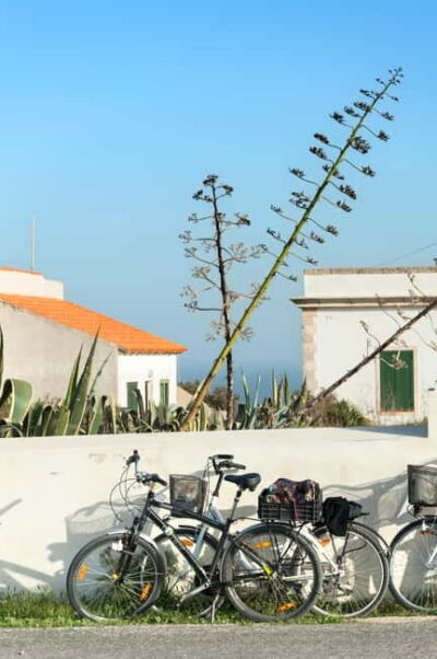 Formentera: discover our fast ferry + bike package