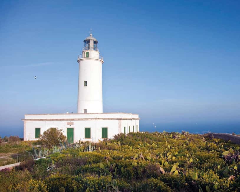 Formentera: discover our fast ferry + electric bike package. - Key points to know before booking