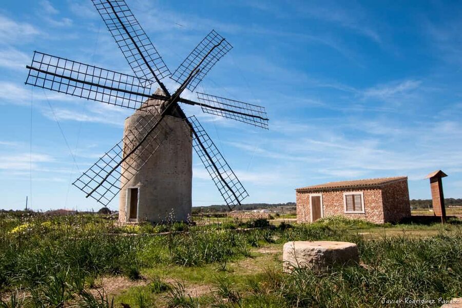 Formentera: discover our fast ferry + electric bike package. - Bike paths, road confidence, and realistic expectations