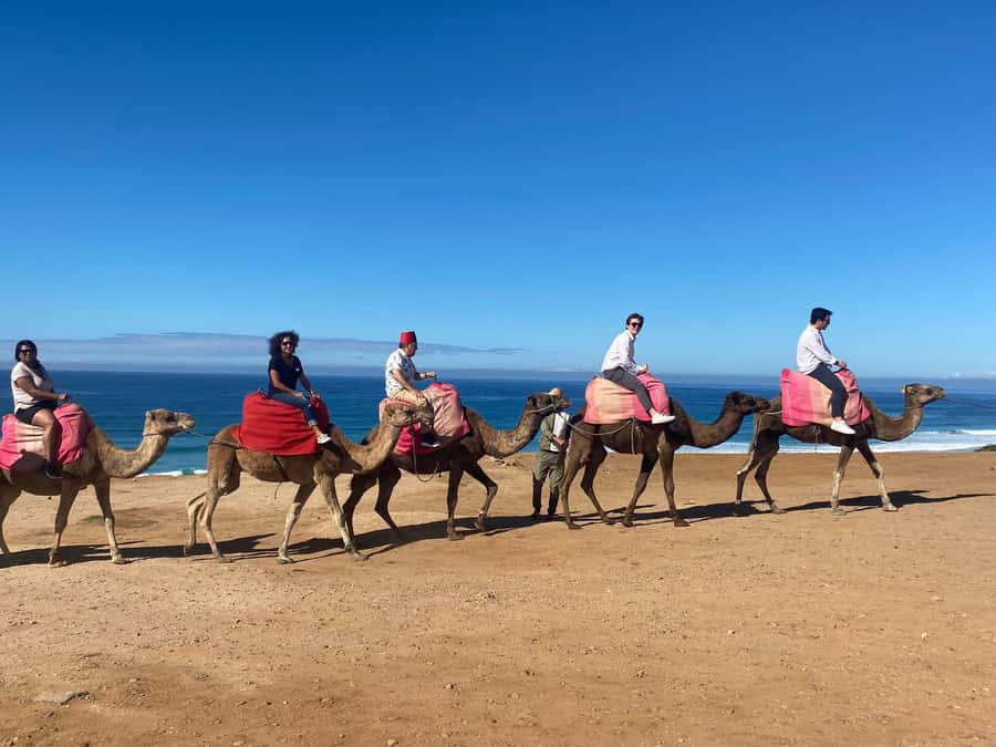 From Cádiz Bay: Tangier Day Trip with Ferry & Local Guide - From Cádiz to the Strait of Gibraltar