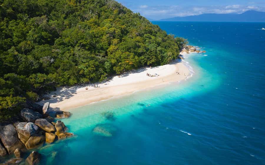 From Cairns: Fitzroy Island Day Trip by Ferry - Rainforest trails and the summit walk
