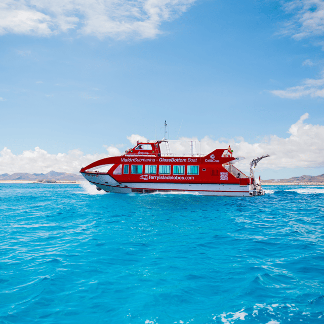 From Caleta de Fuste: Return Bus and Ferry to Lobos Island - Four hours to find your own route