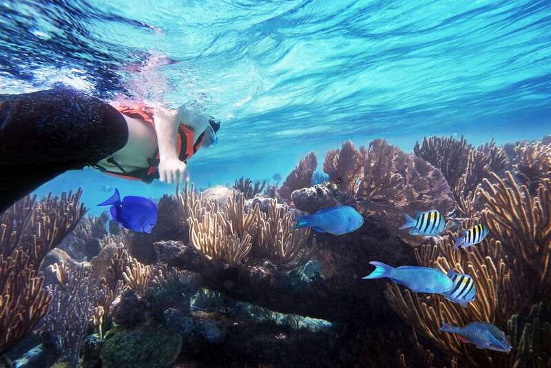 From Cancun: Garrafon Reef Park Admission with Ferry Tickets - Pool time, lounge chairs, and the temazcal