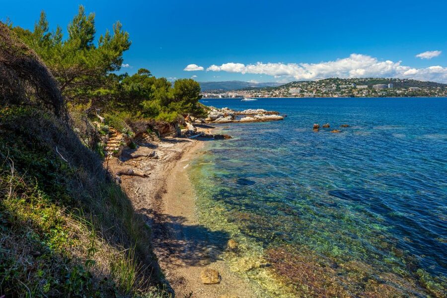 From Cannes: Round-Trip Ferry to Ste. Marguerite Island - Who should book the Sainte-Marguerite ferry?