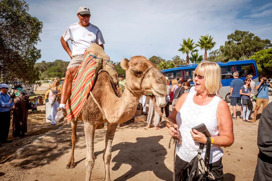 From Costa del Sol: Tangier Full-Day Tour by Ferry - Key points to know before booking
