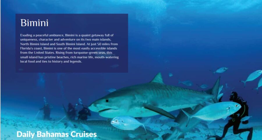 From Fort Lauderdale: Bimini Island Day Trip by Ferry - The return journey and the risk of a late day