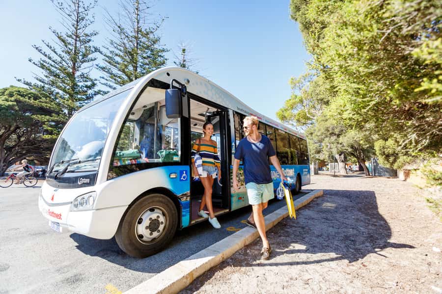 From Fremantle: Rottnest Island Ferry & Bus Day Tour - Key points at a glance