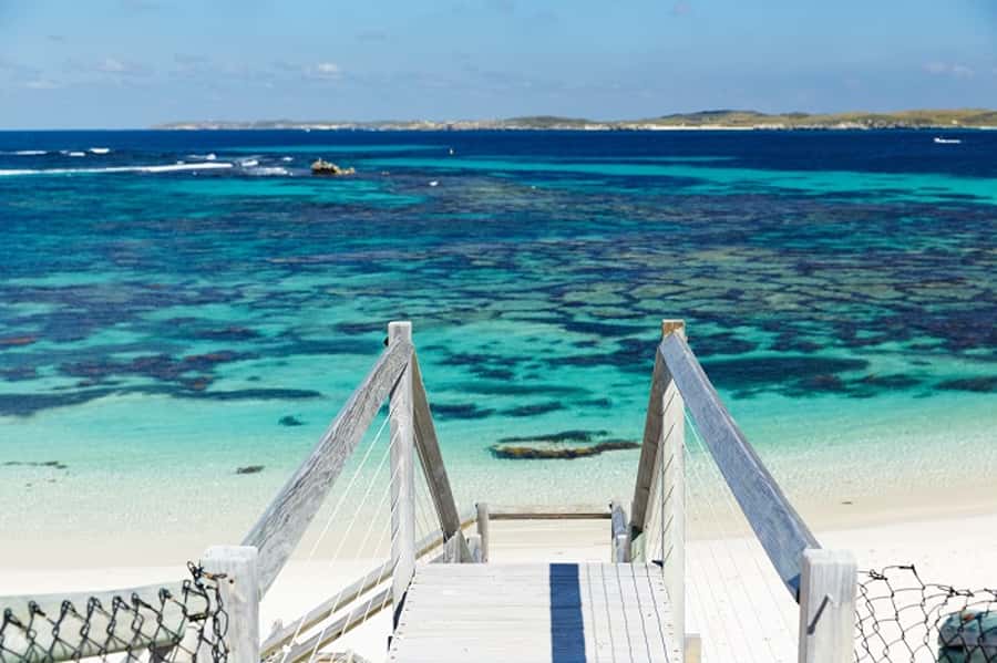 From Fremantle: Rottnest Island Ferry & Bus Day Tour - Practical details before you book