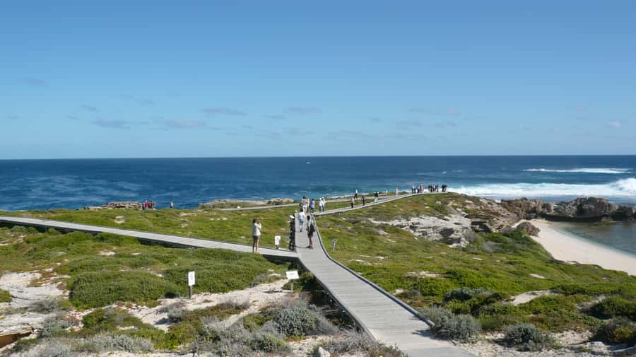 From Fremantle: Rottnest Island Ferry & Bus Day Tour - Why this Fremantle day trip works