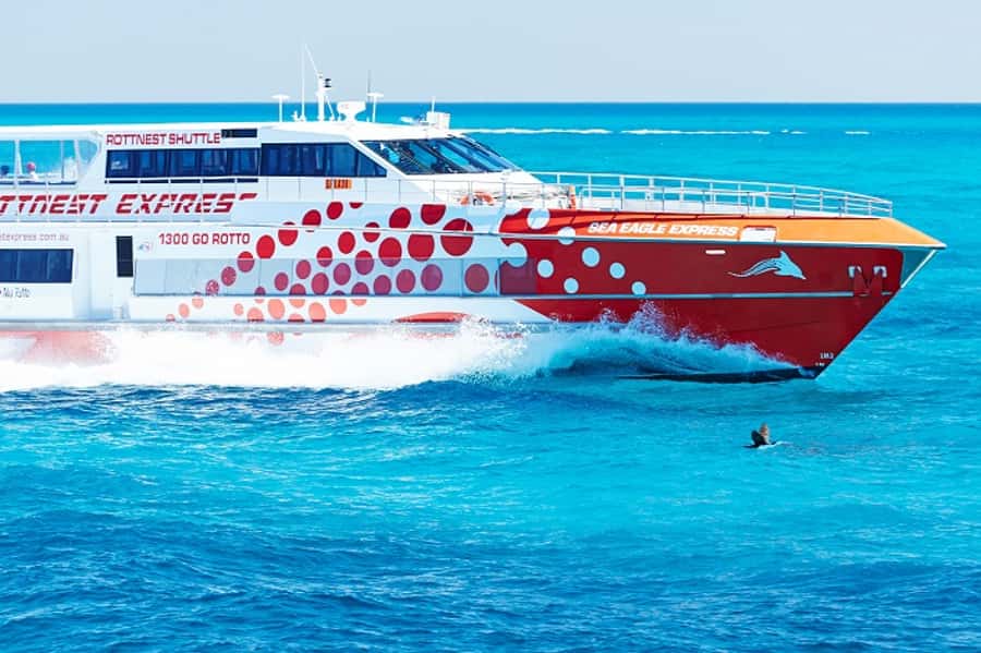 From Fremantle: Rottnest Island Ferry & Bus Day Tour - The 90-minute coach circuit