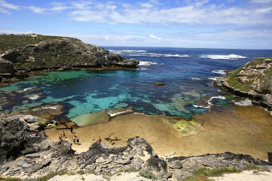 From Fremantle: Rottnest Island Ferry & Bus Day Tour - Getting from Fremantle to Rottnest Island