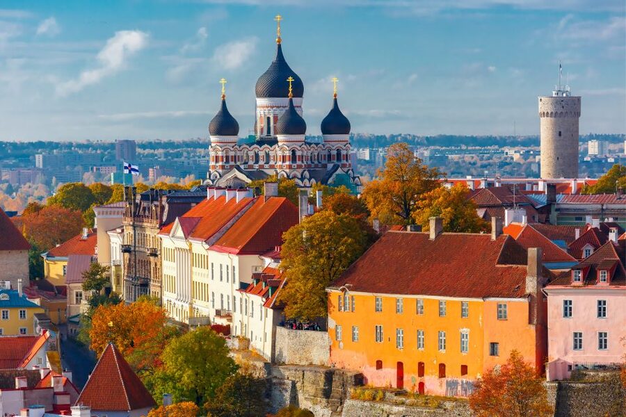 From Helsinki: Tallinn Guided Full-Day Tour by Ferry - A guide-led walk with room to ask questions