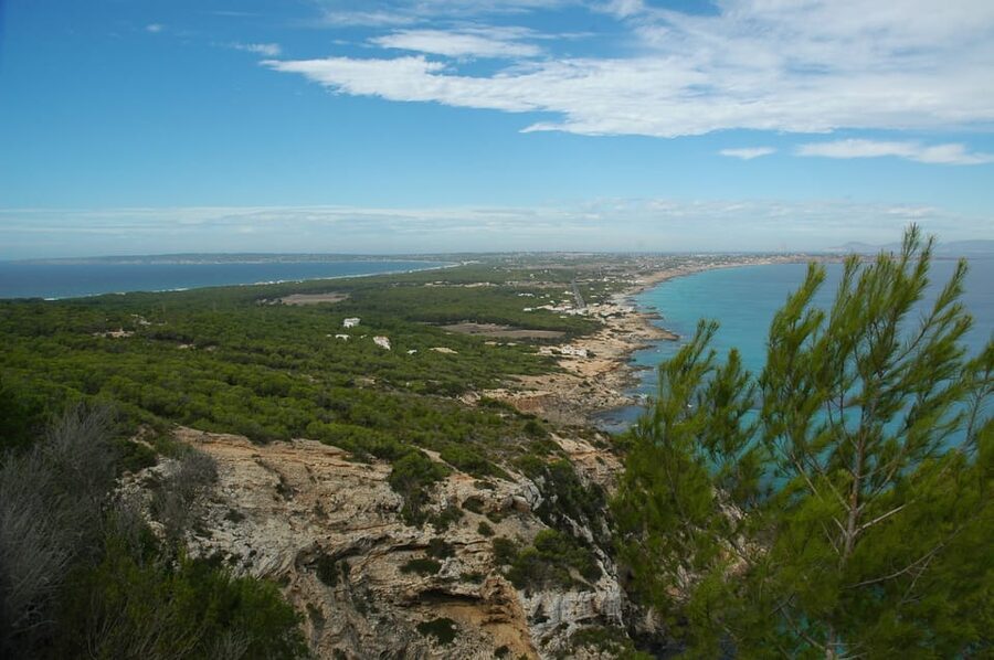 From Ibiza: Ferry and Guided Bus Excursion in Formentera - Key points to know before you book