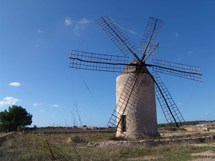 From Ibiza: Ferry and Guided Bus Excursion in Formentera - What the bus and guide setup is really like